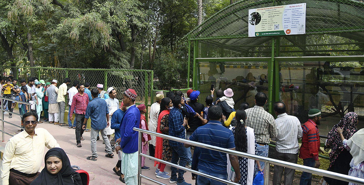 Nehru Zoological Park Hyderabad - Sakshi10