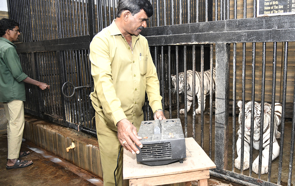 Nehru Zoological Park Hyderabad - Sakshi18