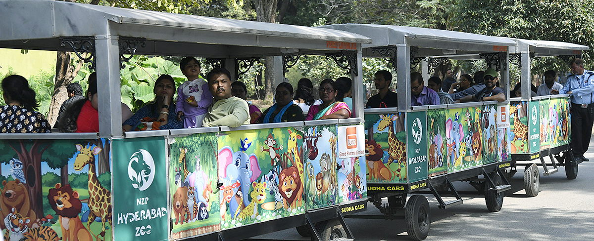 Nehru Zoological Park Hyderabad - Sakshi3