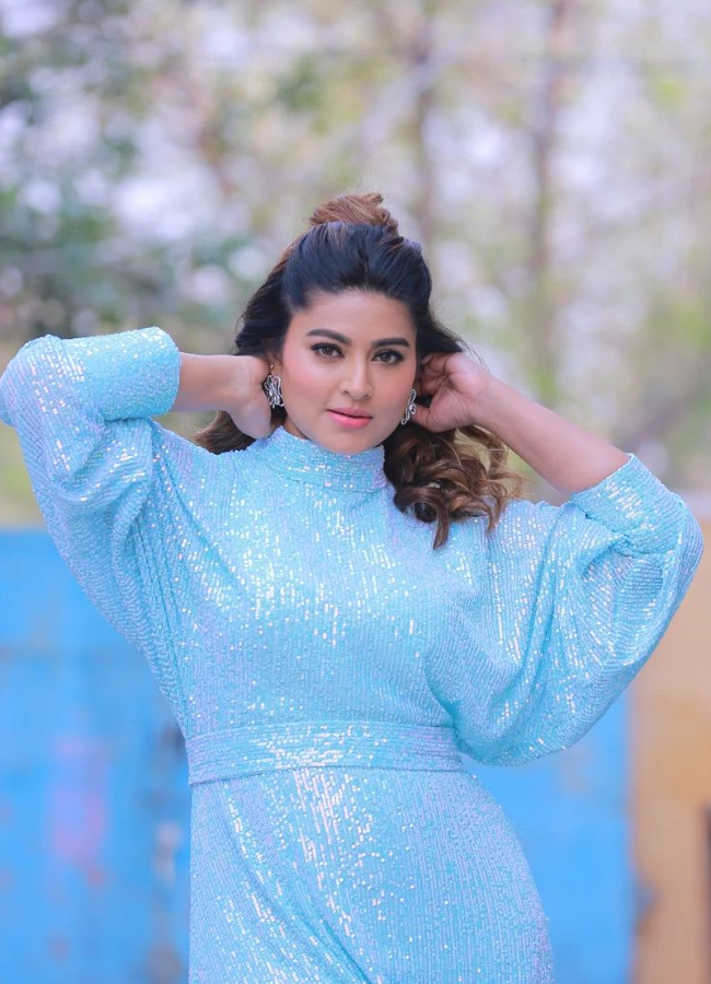 Sliver Screen Beauty Sneha Stylish Photos - Sakshi10