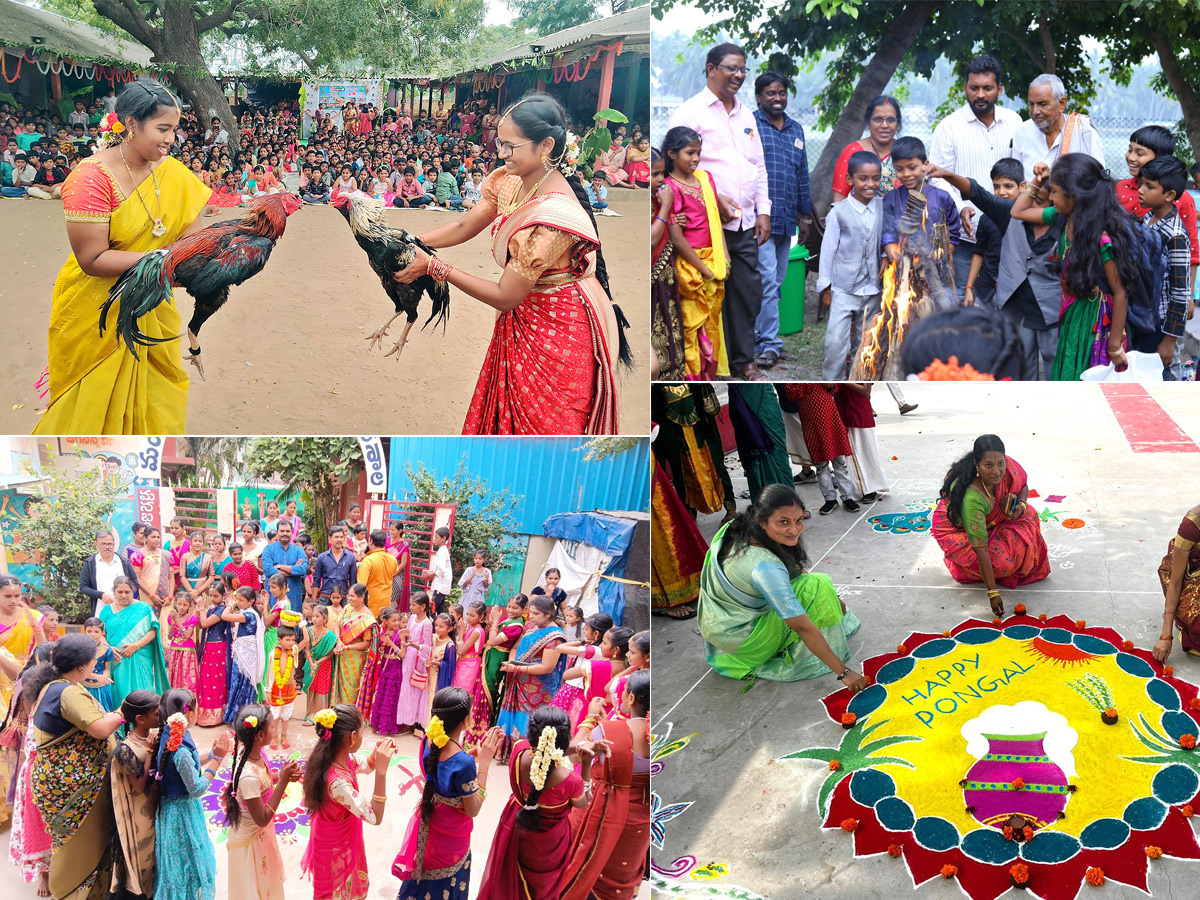 sankranti celebration 2024 photos - Sakshi1