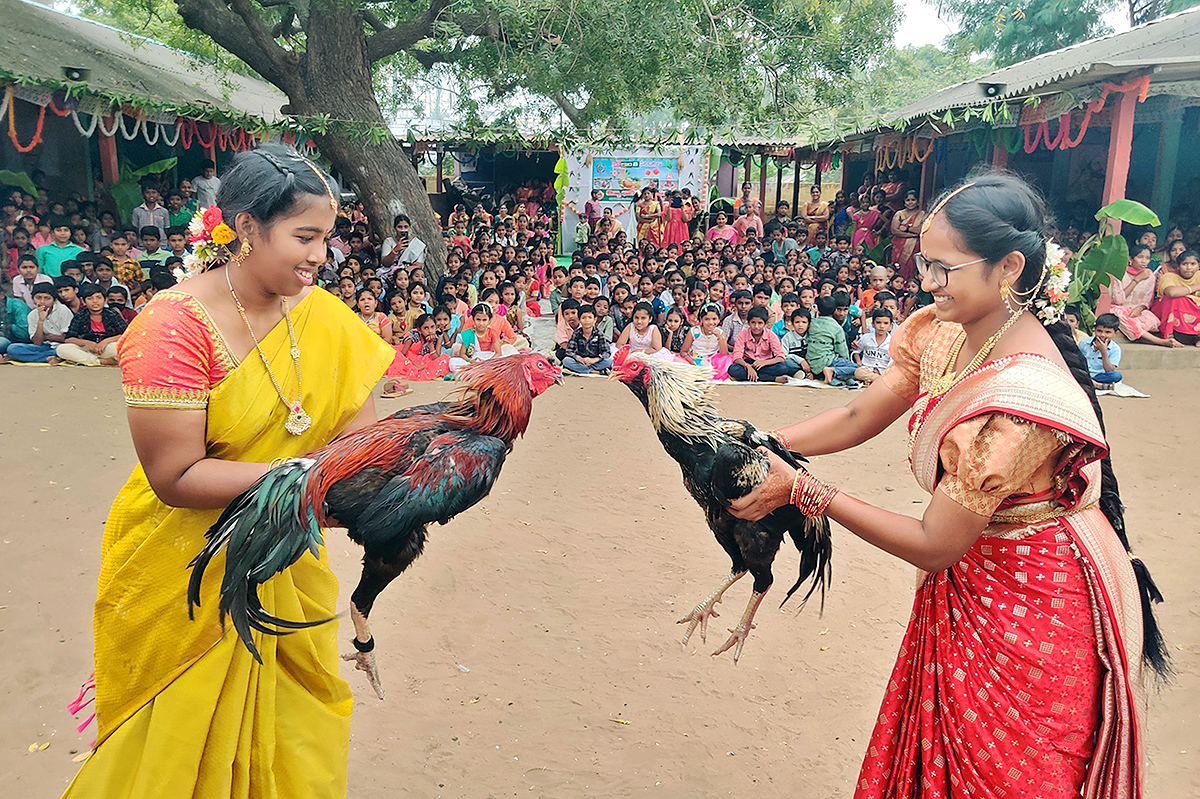 sankranti celebration 2024 photos - Sakshi14