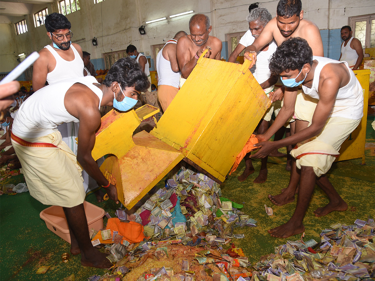 Sammakka Saralamma Medaram Jatara Hundi Counting - Sakshi10