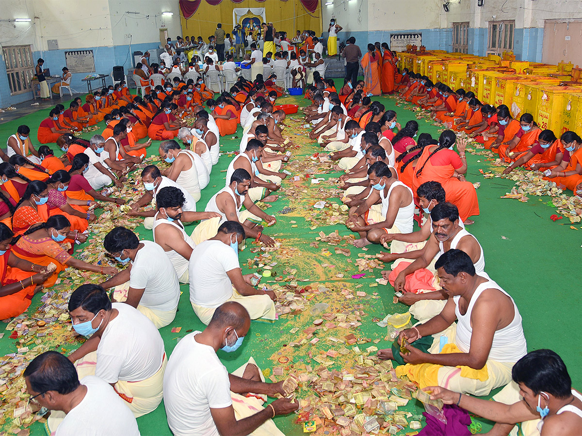 Sammakka Saralamma Medaram Jatara Hundi Counting - Sakshi12