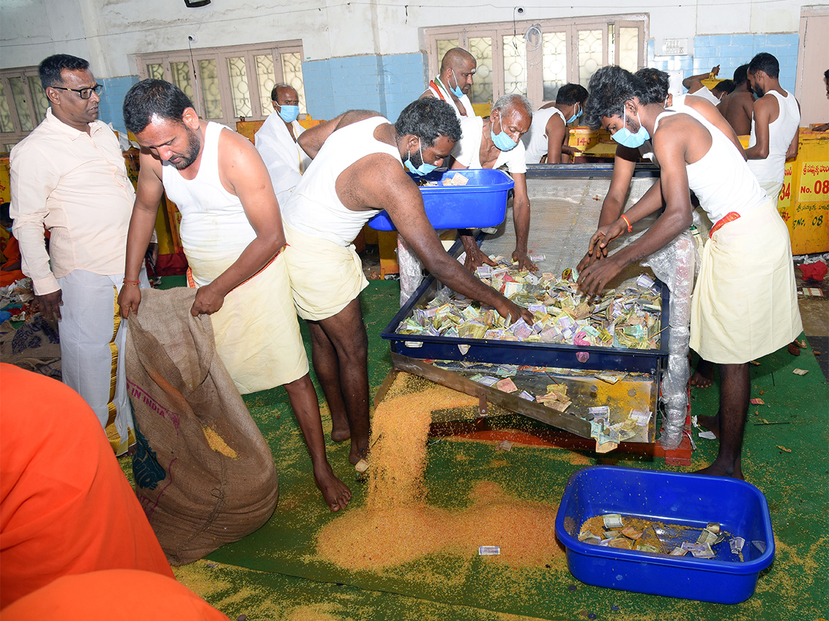 Sammakka Saralamma Medaram Jatara Hundi Counting - Sakshi13