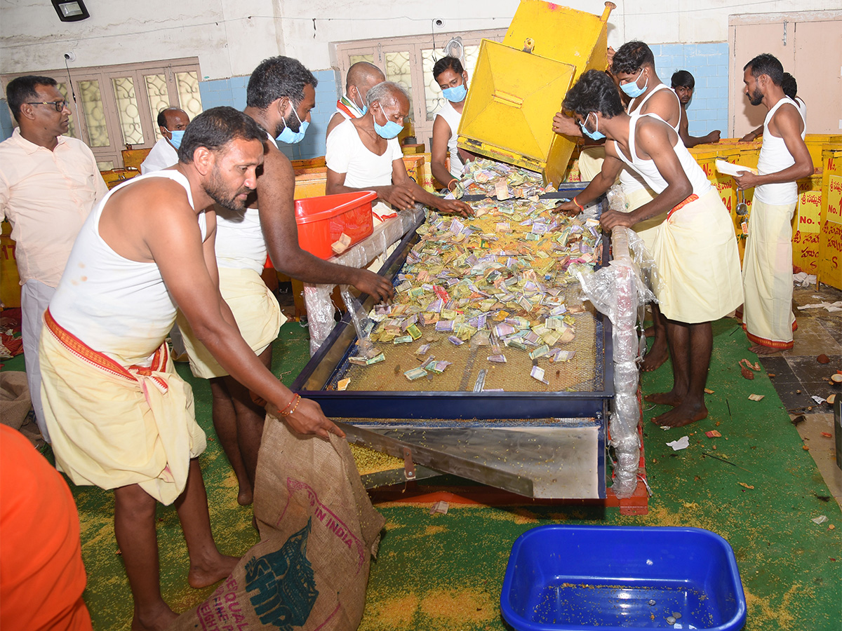 Sammakka Saralamma Medaram Jatara Hundi Counting - Sakshi8