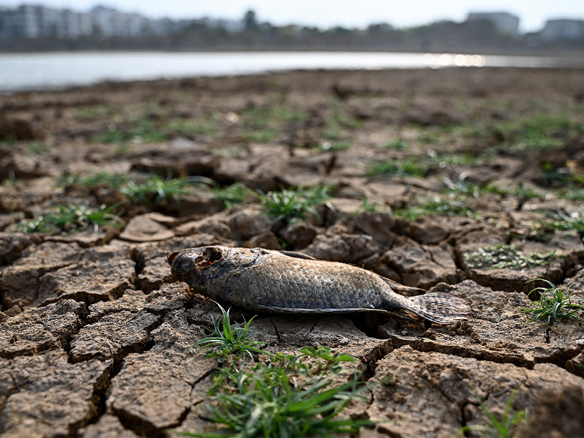 Bangalore water crisis explained Photos  - Sakshi11