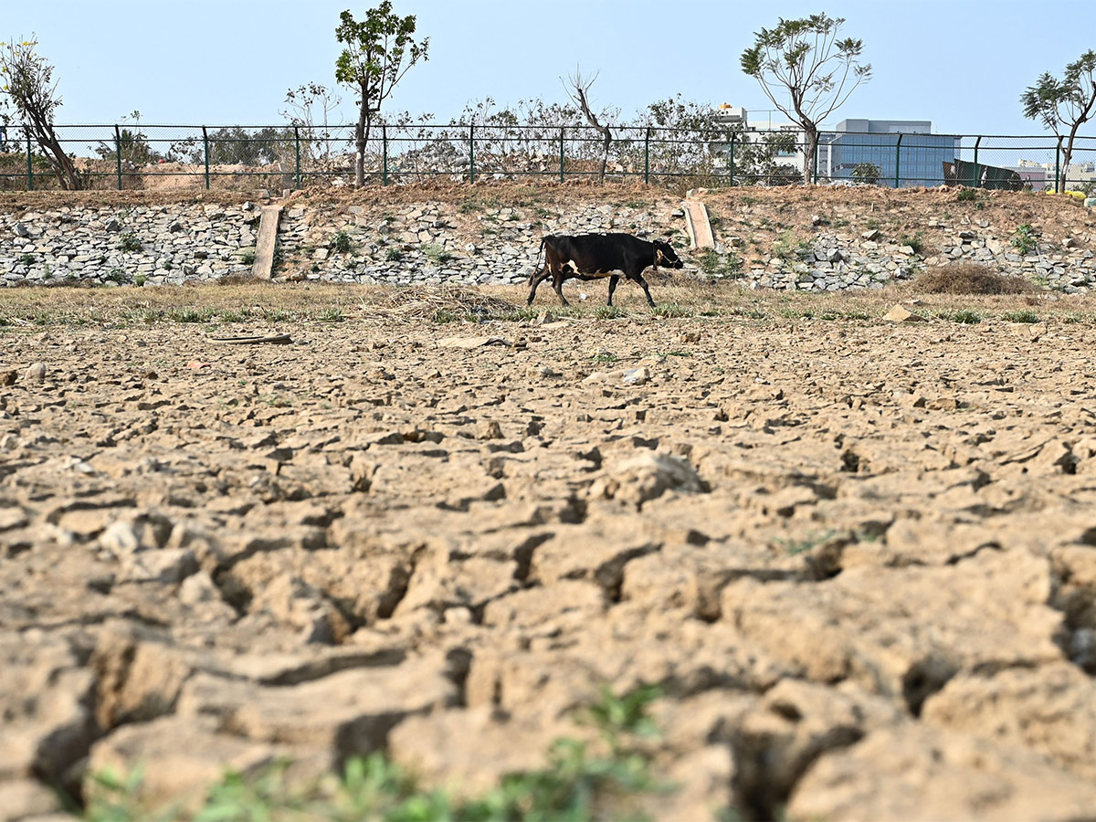 Bangalore water crisis explained Photos  - Sakshi13