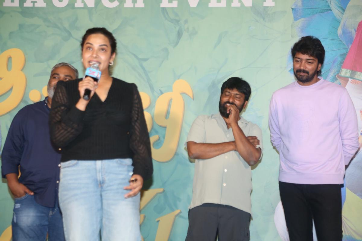 Aa Okkati Adakku Movie Teaser Launch Photos - Sakshi19