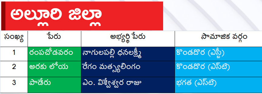 CM Jagan Announced YSRCP Final List Of Candidates For AP Assembly Elections 2024, Photos Inside - Sakshi7