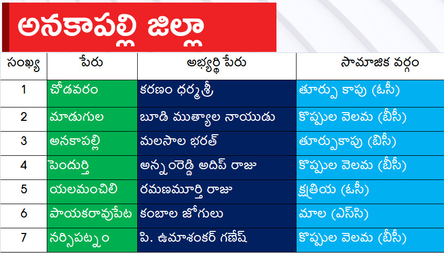 CM Jagan Announced YSRCP Final List Of Candidates For AP Assembly Elections 2024, Photos Inside - Sakshi6