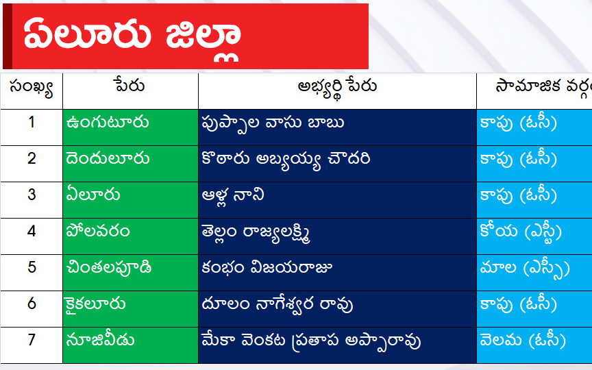 CM Jagan Announced YSRCP Final List Of Candidates For AP Assembly Elections 2024, Photos Inside - Sakshi12