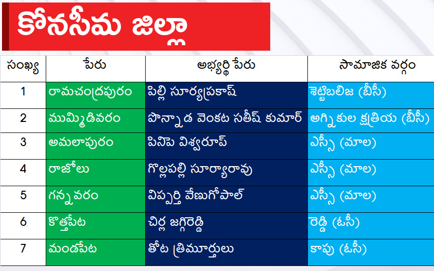 CM Jagan Announced YSRCP Final List Of Candidates For AP Assembly Elections 2024, Photos Inside - Sakshi10