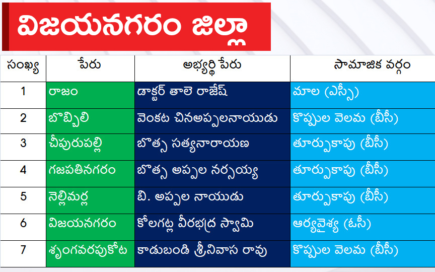 CM Jagan Announced YSRCP Final List Of Candidates For AP Assembly Elections 2024, Photos Inside - Sakshi3