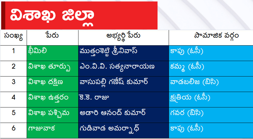 CM Jagan Announced YSRCP Final List Of Candidates For AP Assembly Elections 2024, Photos Inside - Sakshi5