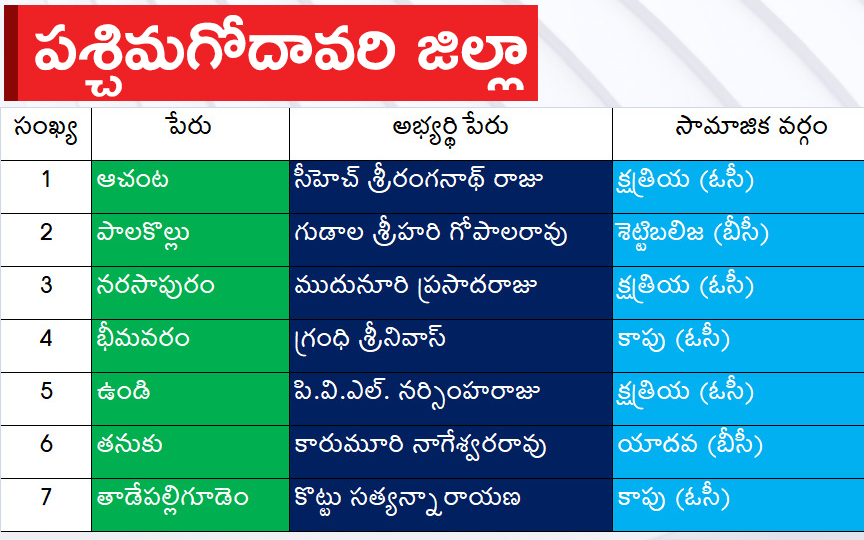 CM Jagan Announced YSRCP Final List Of Candidates For AP Assembly Elections 2024, Photos Inside - Sakshi11