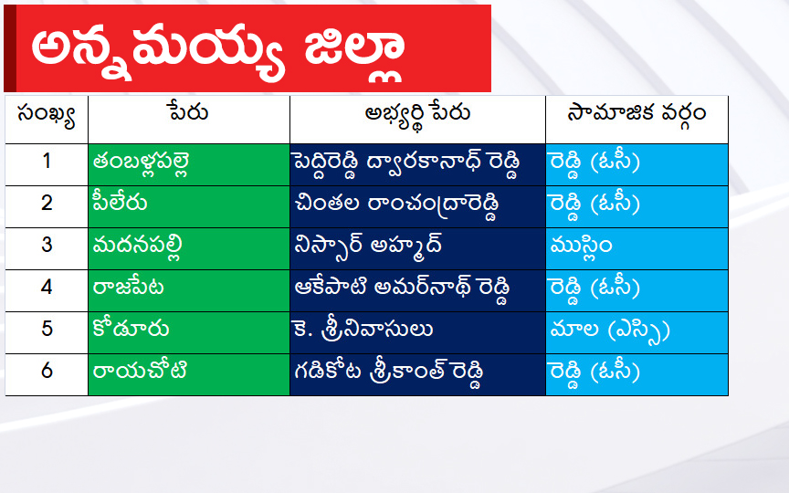 CM Jagan Announced YSRCP Final List Of Candidates For AP Assembly Elections 2024, Photos Inside - Sakshi22