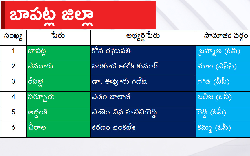 CM Jagan Announced YSRCP Final List Of Candidates For AP Assembly Elections 2024, Photos Inside - Sakshi17