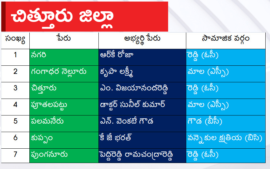 CM Jagan Announced YSRCP Final List Of Candidates For AP Assembly Elections 2024, Photos Inside - Sakshi21