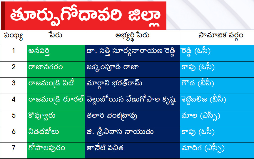 CM Jagan Announced YSRCP Final List Of Candidates For AP Assembly Elections 2024, Photos Inside - Sakshi9