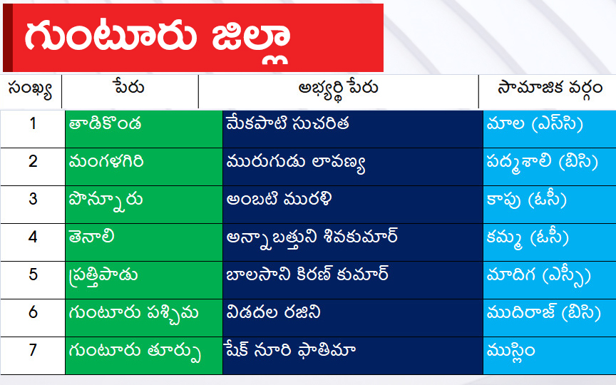 CM Jagan Announced YSRCP Final List Of Candidates For AP Assembly Elections 2024, Photos Inside - Sakshi15