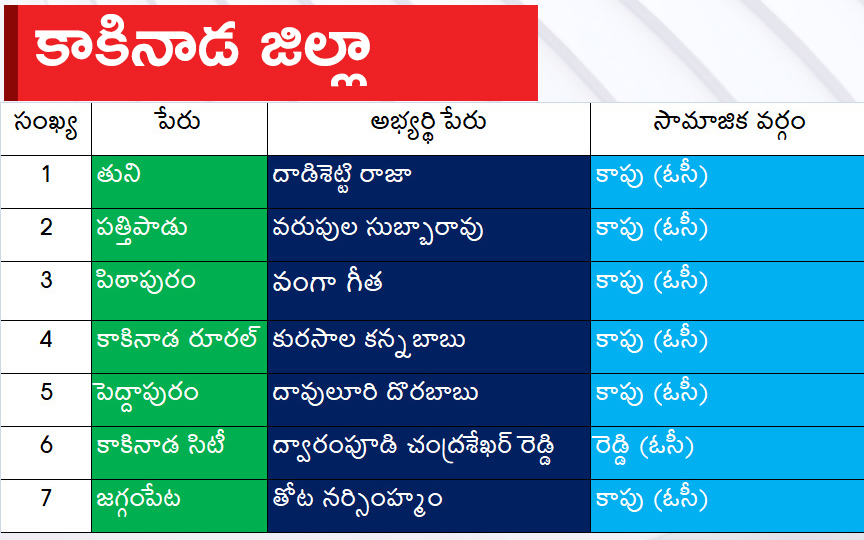 CM Jagan Announced YSRCP Final List Of Candidates For AP Assembly Elections 2024, Photos Inside - Sakshi8