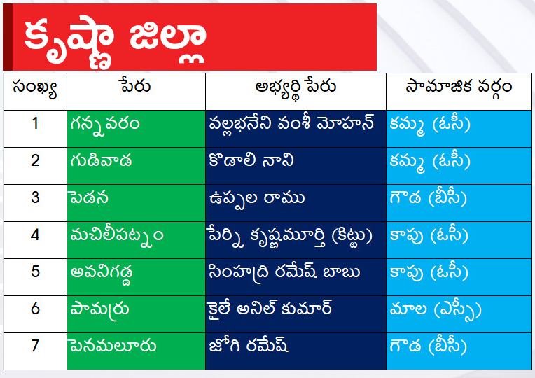 CM Jagan Announced YSRCP Final List Of Candidates For AP Assembly Elections 2024, Photos Inside - Sakshi14