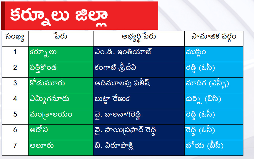 CM Jagan Announced YSRCP Final List Of Candidates For AP Assembly Elections 2024, Photos Inside - Sakshi25