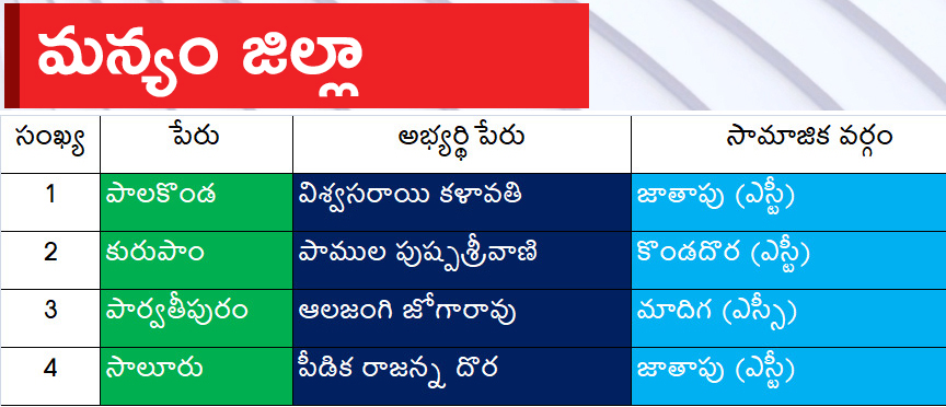 CM Jagan Announced YSRCP Final List Of Candidates For AP Assembly Elections 2024, Photos Inside - Sakshi4