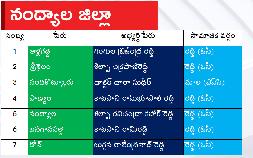 CM Jagan Announced YSRCP Final List Of Candidates For AP Assembly Elections 2024, Photos Inside - Sakshi24