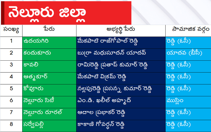 CM Jagan Announced YSRCP Final List Of Candidates For AP Assembly Elections 2024, Photos Inside - Sakshi19