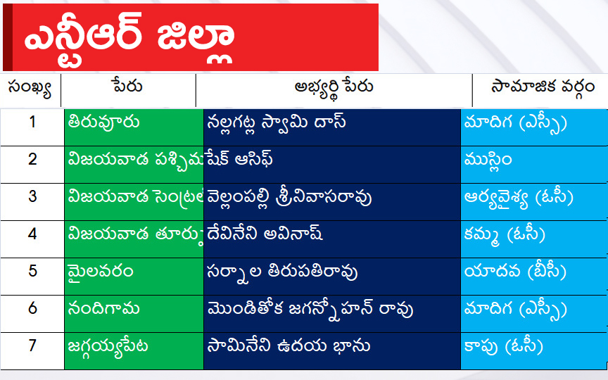 CM Jagan Announced YSRCP Final List Of Candidates For AP Assembly Elections 2024, Photos Inside - Sakshi13