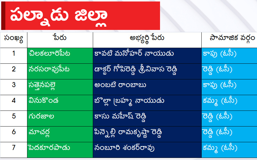 CM Jagan Announced YSRCP Final List Of Candidates For AP Assembly Elections 2024, Photos Inside - Sakshi16