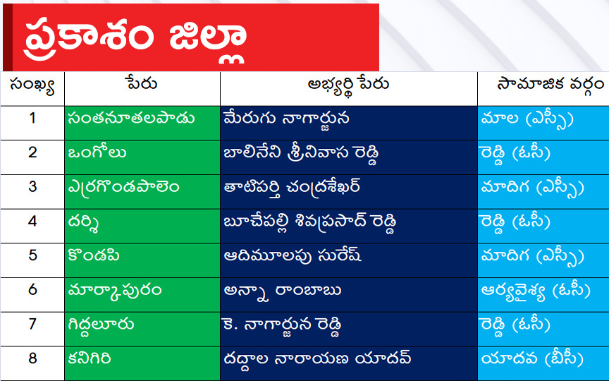 CM Jagan Announced YSRCP Final List Of Candidates For AP Assembly Elections 2024, Photos Inside - Sakshi18