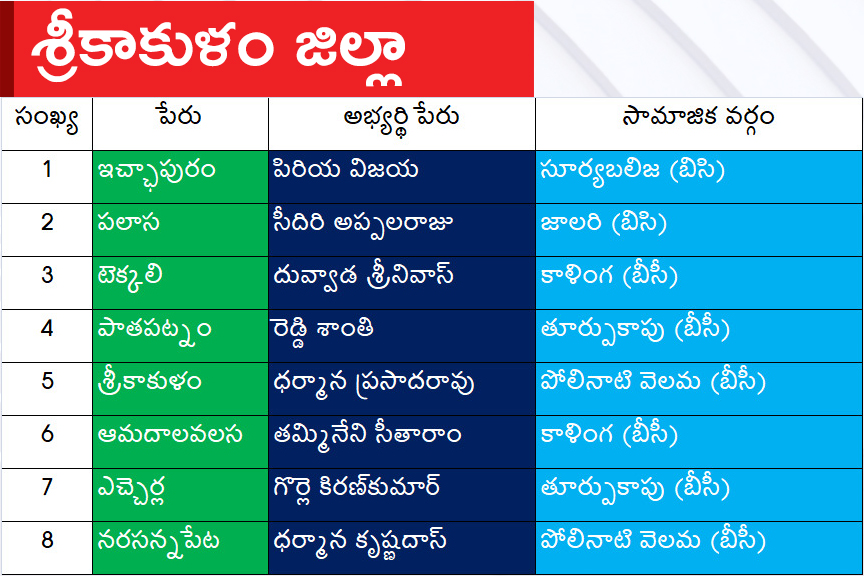 CM Jagan Announced YSRCP Final List Of Candidates For AP Assembly Elections 2024, Photos Inside - Sakshi2