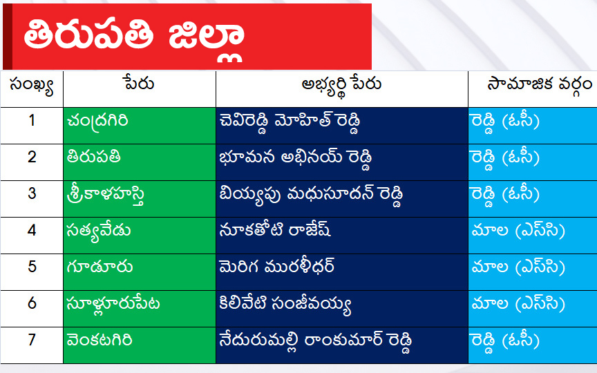 CM Jagan Announced YSRCP Final List Of Candidates For AP Assembly Elections 2024, Photos Inside - Sakshi20