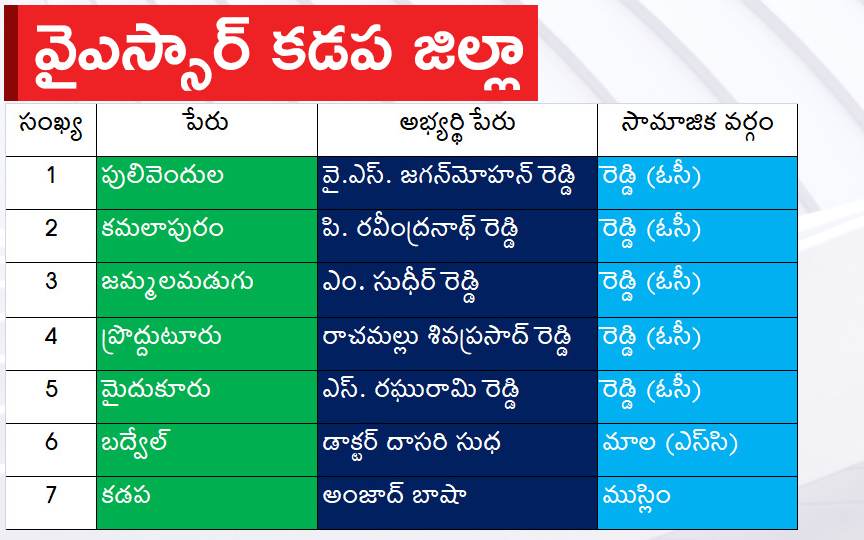 CM Jagan Announced YSRCP Final List Of Candidates For AP Assembly Elections 2024, Photos Inside - Sakshi23