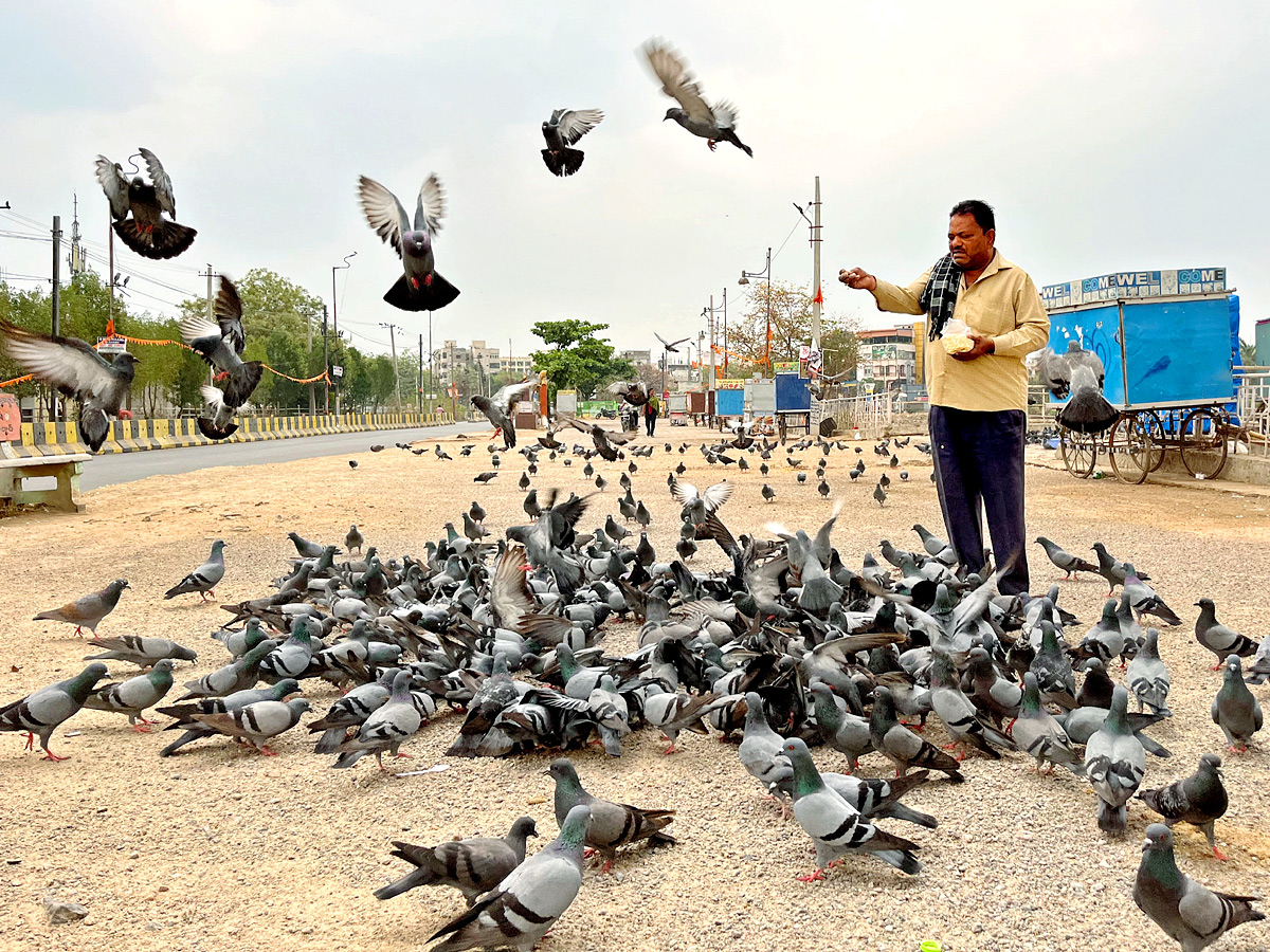 Best Photos of The Day in AP and Telangana Photo Gallery - Sakshi3