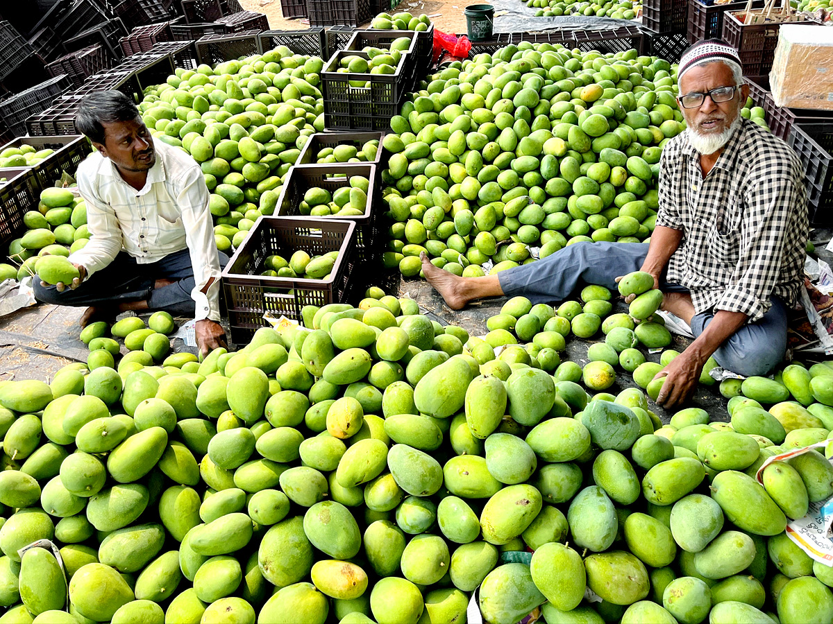 Best Photos of The Day in AP and Telangana Photo Gallery - Sakshi5
