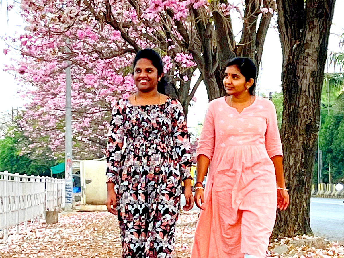 Best Photos of The Day in AP and Telangana Photo Gallery - Sakshi7