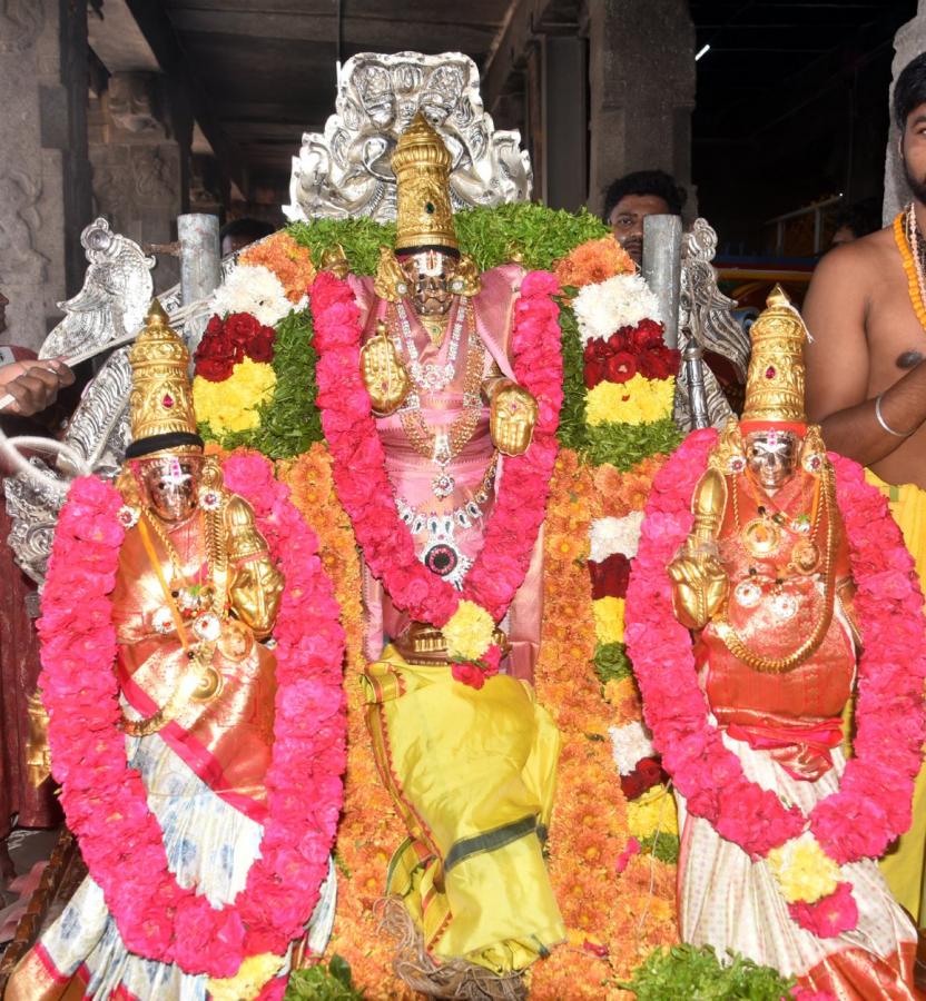 Sri Panakala Narasimha Swamy Rathotsavam Mangalagiri Photos - Sakshi13