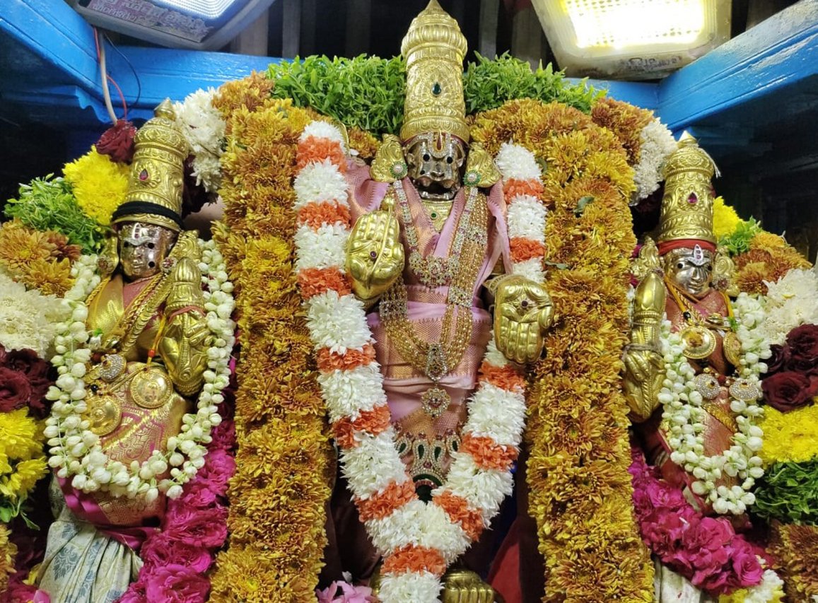 Sri Panakala Narasimha Swamy Rathotsavam Mangalagiri Photos - Sakshi16