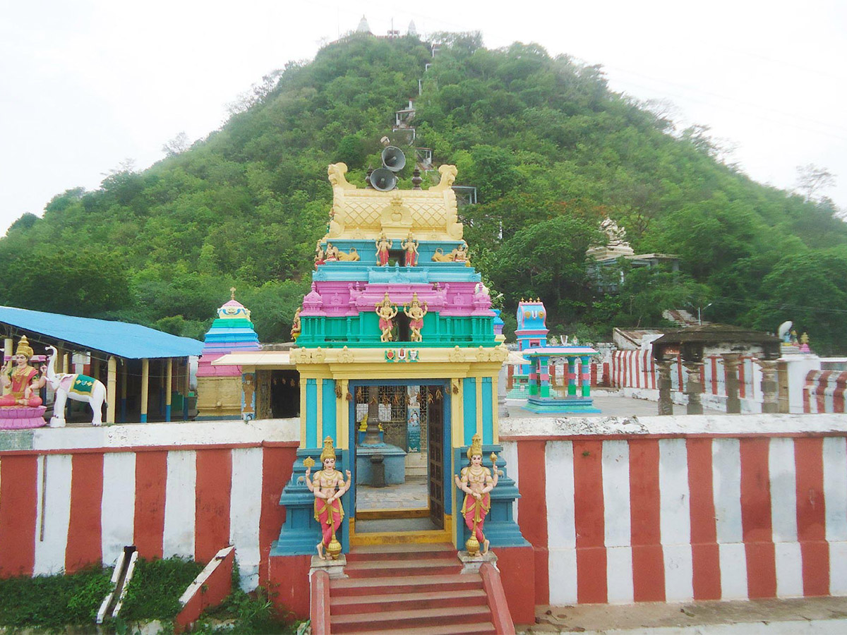 Famous Hindu Temples in Andhra Pradesh Photos - Sakshi21