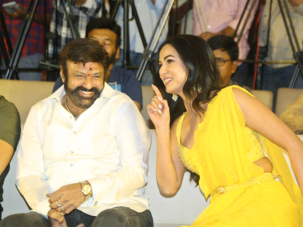 Balakrishna Legend 10years Blockbuster Celebrations Event Photos - Sakshi29