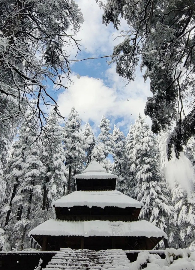 Hidimba Temple At Manali Covered With Snow - Sakshi7