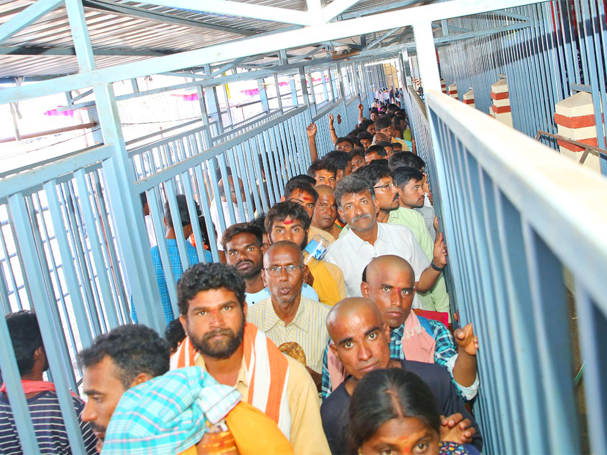 Mahashivratri 2024 Celebration at Srisailam - Sakshi33