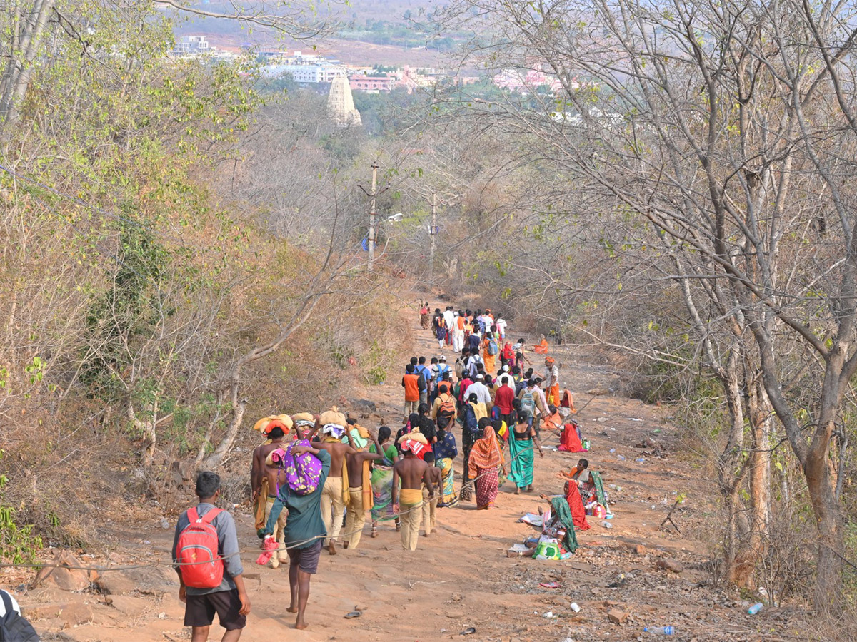 Mahashivratri 2024 Celebration at Srisailam - Sakshi36