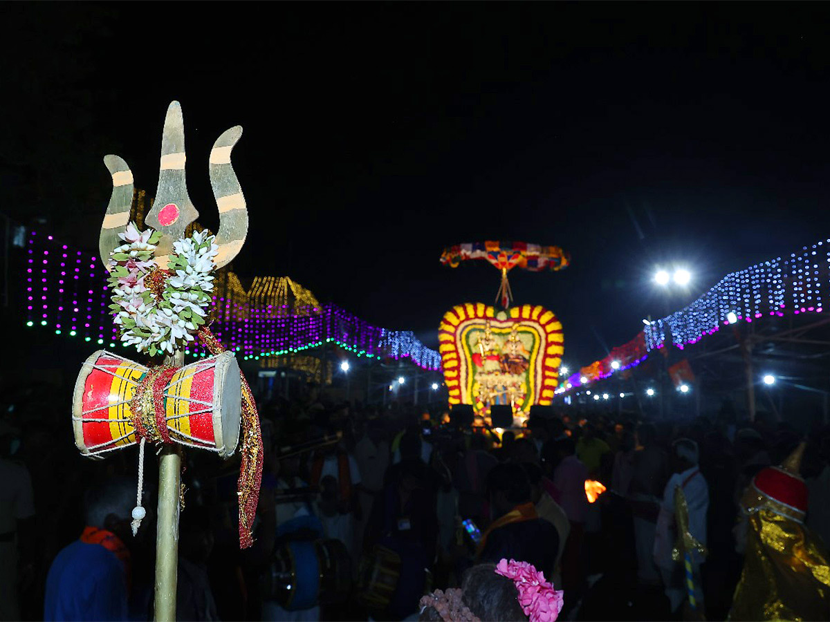 mahashivratri 2024 at srisailam photos - Sakshi42