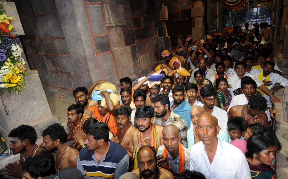 Maha Shivratri 2024: Huge Devotees in Srisailam Photos - Sakshi15