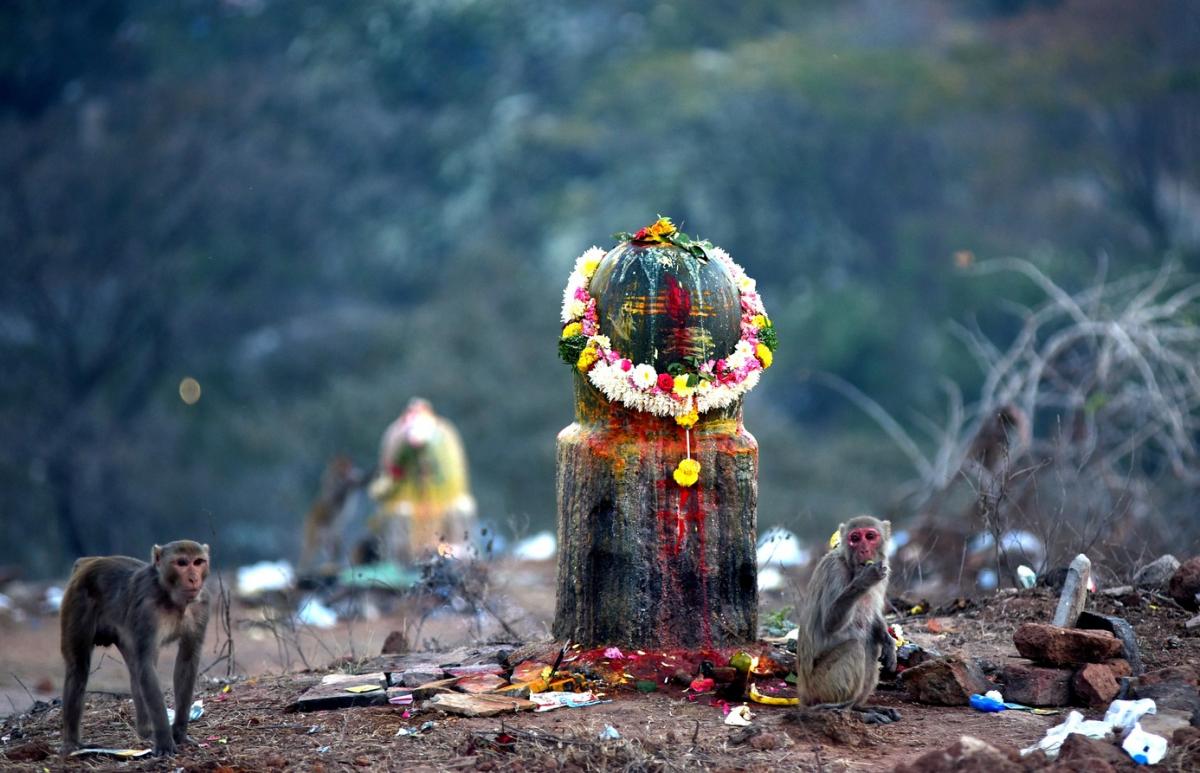 Maha Shivratri Celebrations 2024 At Keesaragutta Temple Photos - Sakshi19